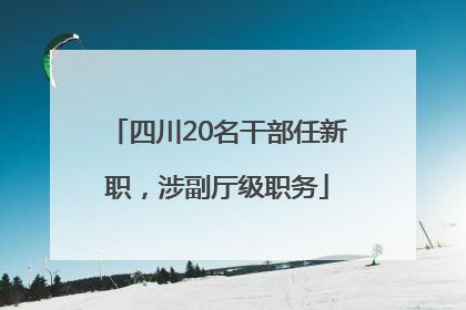 四川20名干部任新职，涉副厅级职务