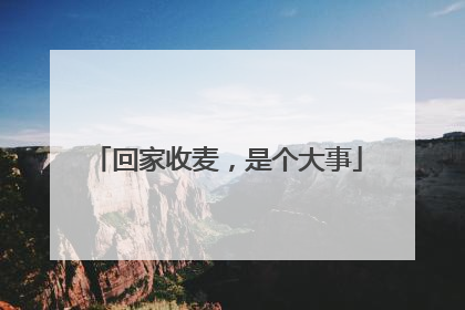 回家收麦，是个大事
