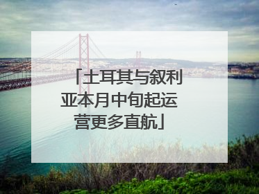 土耳其与叙利亚本月中旬起运营更多直航