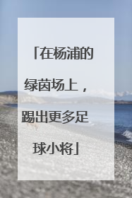 在杨浦的绿茵场上，踢出更多足球小将