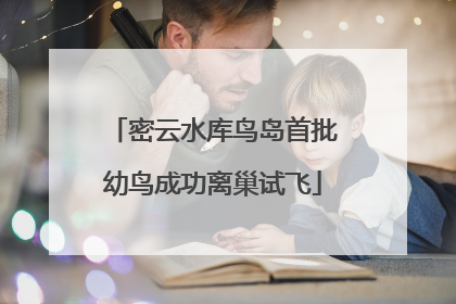 密云水库鸟岛首批幼鸟成功离巢试飞