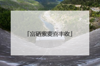 富硒紫麦喜丰收