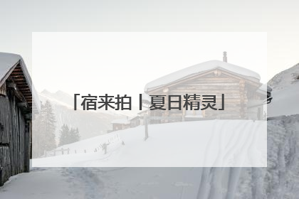 宿来拍丨夏日精灵