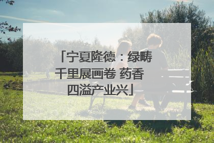 宁夏隆德：绿畴千里展画卷 药香四溢产业兴