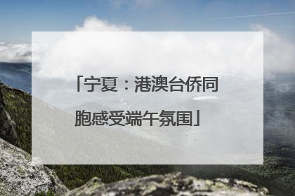 宁夏：港澳台侨同胞感受端午氛围