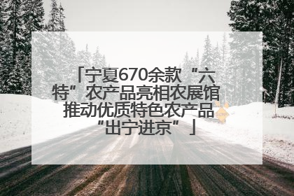 宁夏670余款“六特”农产品亮相农展馆 推动优质特色农产品“出宁进京”