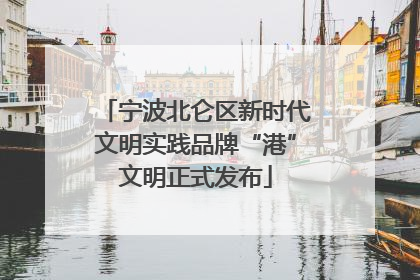宁波北仑区新时代文明实践品牌“港”文明正式发布