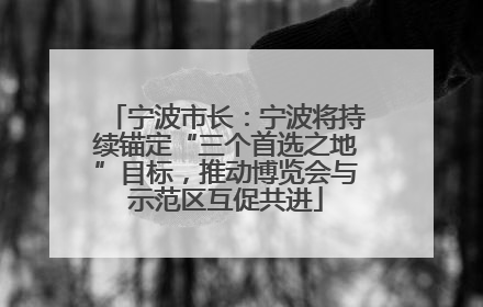 宁波市长：宁波将持续锚定“三个首选之地”目标，推动博览会与示范区互促共进