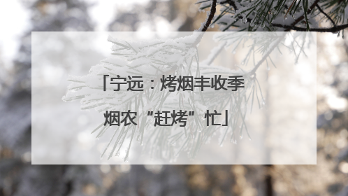 宁远：烤烟丰收季 烟农“赶烤”忙