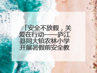 安全不放假，关爱在行动——庐江县同大镇农林小学开展暑假前安全教育大家访