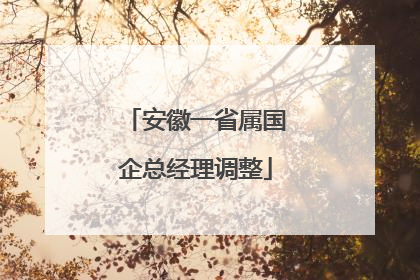 安徽一省属国企总经理调整