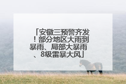 安徽三预警齐发！部分地区大雨到暴雨、局部大暴雨、8级雷暴大风