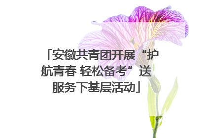 安徽共青团开展“护航青春 轻松备考”送服务下基层活动