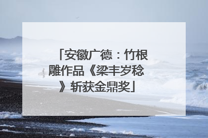 安徽广德：竹根雕作品《梁丰岁稔》斩获金鼎奖