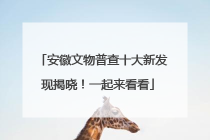 安徽文物普查十大新发现揭晓！一起来看看