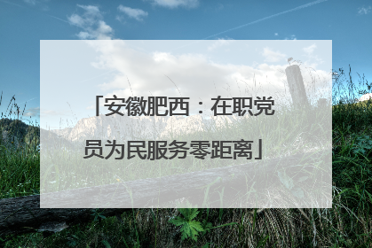 安徽肥西：在职党员为民服务零距离