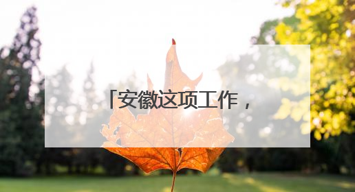 安徽这项工作，“国考”优秀