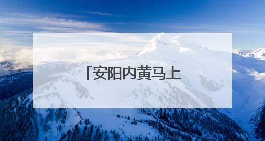 安阳内黄马上乡：麦穗飘香 “丰”景正好
