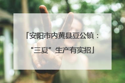 安阳市内黄县豆公镇：“三夏”生产有实招