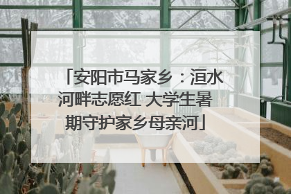 安阳市马家乡：洹水河畔志愿红 大学生暑期守护家乡母亲河