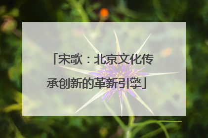 宋歌：北京文化传承创新的革新引擎