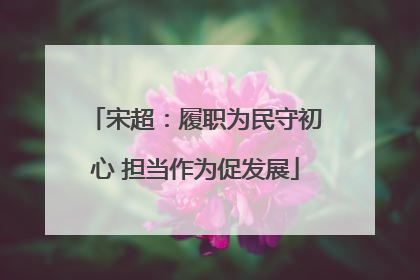宋超：履职为民守初心 担当作为促发展