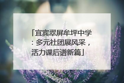 宜宾翠屏牟坪中学：多元社团展风采，活力课后谱新篇