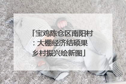 宝鸡陈仓区南阳村：大棚经济结硕果 乡村振兴绘新图