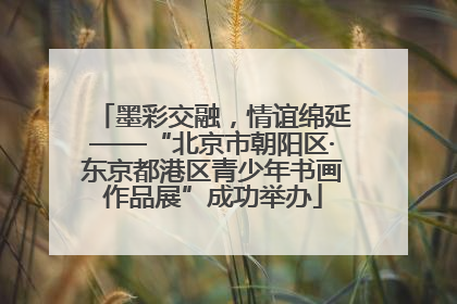 墨彩交融，情谊绵延——“北京市朝阳区·东京都港区青少年书画作品展”成功举办