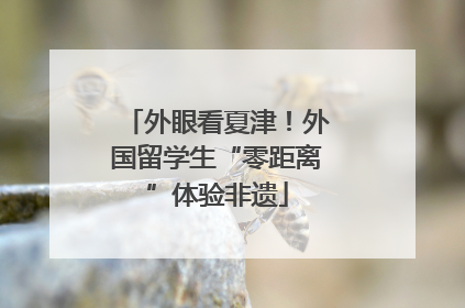 外眼看夏津！外国留学生“零距离”体验非遗