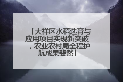 大祥区水稻选育与应用项目实现新突破，农业农村局全程护航成果斐然