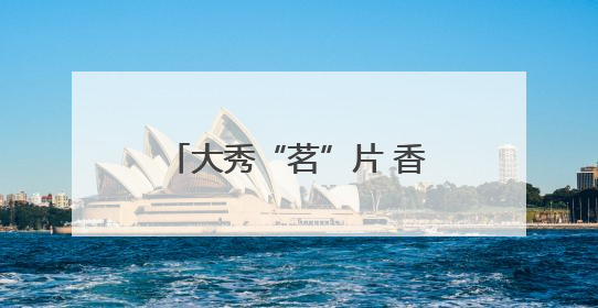 大秀“茗”片 香飘京华——2025年“一展两会”展现泉州茶独特魅力