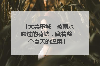 大美东城｜被雨水吻过的荷塘，藏着整个夏天的温柔