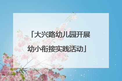 大兴路幼儿园开展幼小衔接实践活动