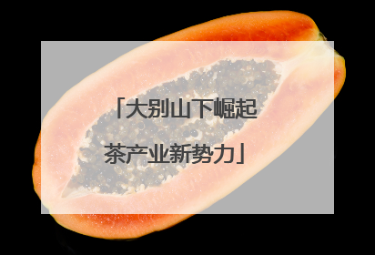 大别山下崛起茶产业新势力