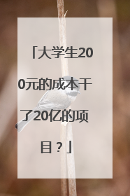 大学生200元的成本干了20亿的项目？