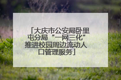 大庆市公安局卧里屯分局“一网三化”推进校园周边流动人口管理服务