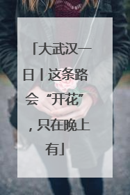 大武汉一日丨这条路会“开花”，只在晚上有