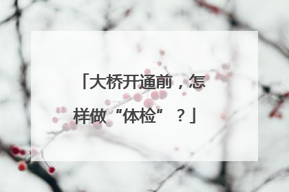 大桥开通前，怎样做“体检”？