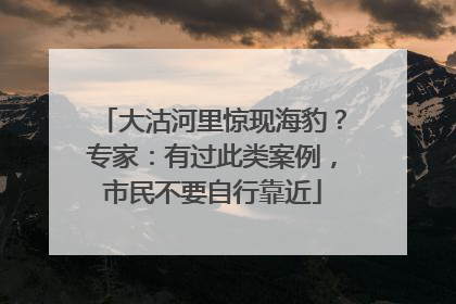 大沽河里惊现海豹？专家：有过此类案例，市民不要自行靠近