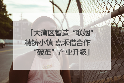 大湾区智造“联姻”精铸小镇 嘉禾借合作“破茧”产业升级