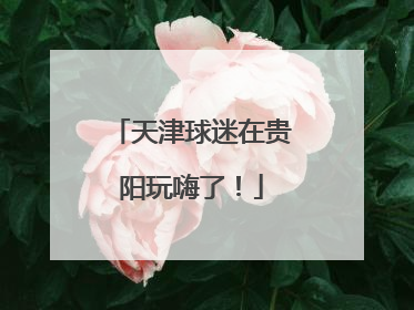 天津球迷在贵阳玩嗨了！