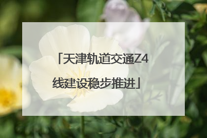天津轨道交通Z4线建设稳步推进