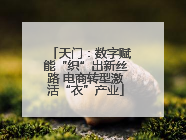 天门：数字赋能“织”出新丝路 电商转型激活“衣”产业