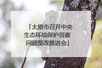 太原市召开中央生态环境保护督察问题整改推进会