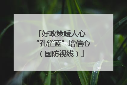 好政策暖人心 “孔雀蓝”增信心（国防视线）