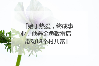 始于热爱，终成事业，他养金鱼致富后带动18个村共富