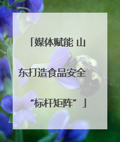 媒体赋能 山东打造食品安全“标杆矩阵”