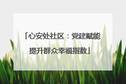 心安处社区：党建赋能 提升群众幸福指数