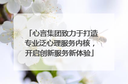 心言集团致力于打造专业泛心理服务内核，开启创新服务新体验
